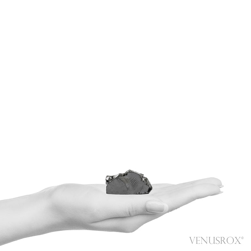 Elite Shungite Crystal from Shunga, Karelia, Russia | Venusrox
