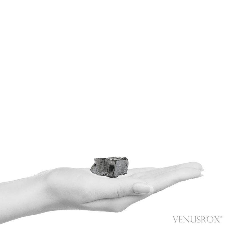 Elite Shungite Crystal from Shunga, Karelia, Russia | Venusrox