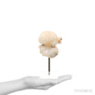 Stilbite Natural Cluster from India mounted on a bespoke stand | Venusrox