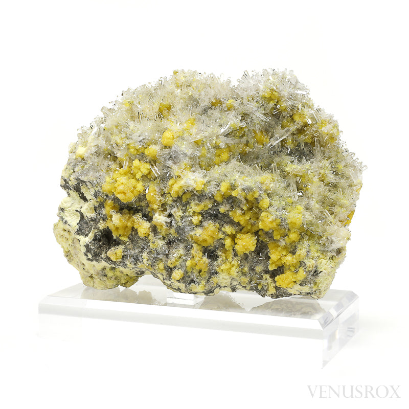Sulphur with Celestite Natural Specimen from the Machów Mine, Tarnobrzeg, Subcarpathian Voivodeship, Poland mounted on a bespoke stand | Venusrox