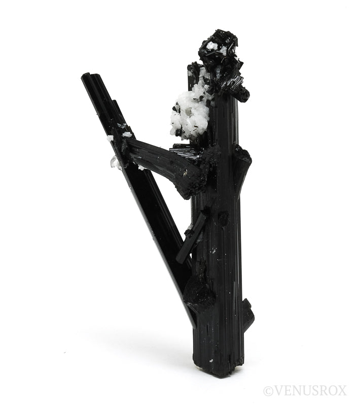 Black Tourmaline with Feldspar Natural Crystal from the Shigar Valley, Shigar District, Gilgit-Baltistan, Pakistan | Venusrox