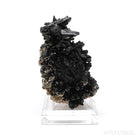 Black Tourmaline with Muscovite Natural Cluster from the Bergsig Farm, Erongo Mountains, Namibia | Venusrox
