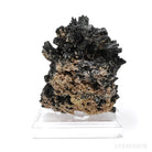 Black Tourmaline with Muscovite Natural Cluster from the Bergsig Farm, Erongo Mountains, Namibia | Venusrox