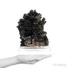 Black Tourmaline with Muscovite Natural Cluster from the Bergsig Farm, Erongo Mountains, Namibia | Venusrox