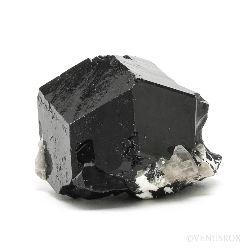 Black Tourmaline with Smoky Quartz Natural Cluster from the Erongo Mountains, Namibia | Venusrox