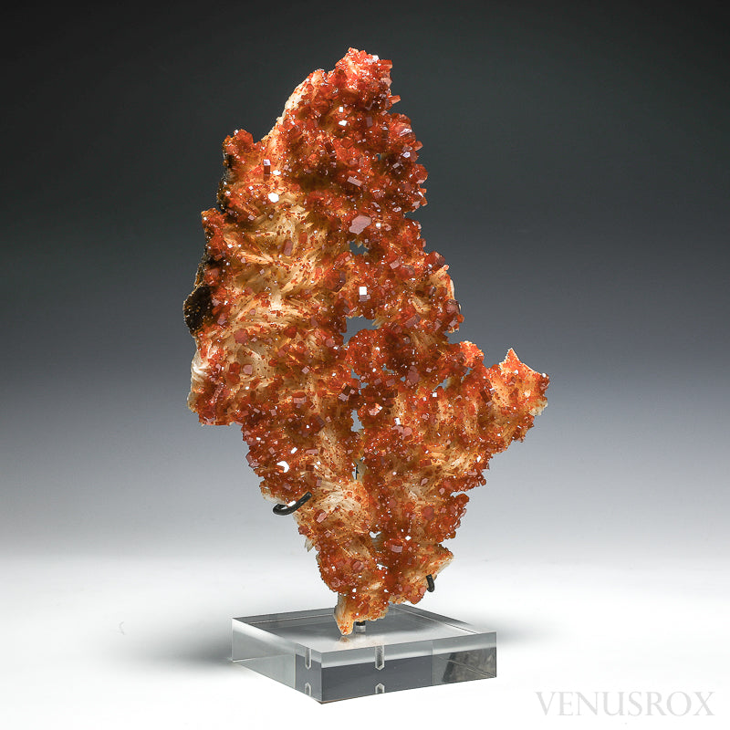 Vanadinite on Barite Natural Cluster from Mibladen, Midelt, Meknes-Tafilalet Region, Morocco mounted on a bespoke stand | Venusrox