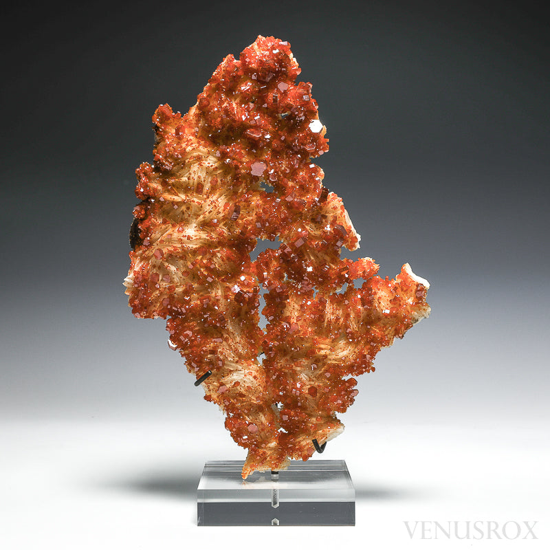 Vanadinite on Barite Natural Cluster from Mibladen, Midelt, Meknes-Tafilalet Region, Morocco mounted on a bespoke stand | Venusrox