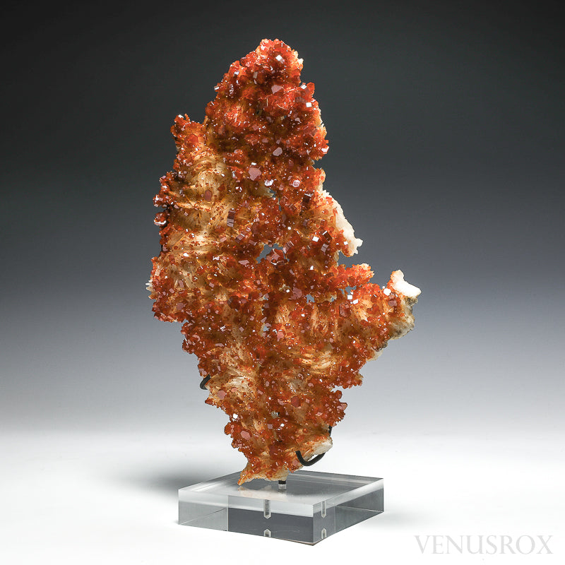 Vanadinite on Barite Natural Cluster from Mibladen, Midelt, Meknes-Tafilalet Region, Morocco mounted on a bespoke stand | Venusrox