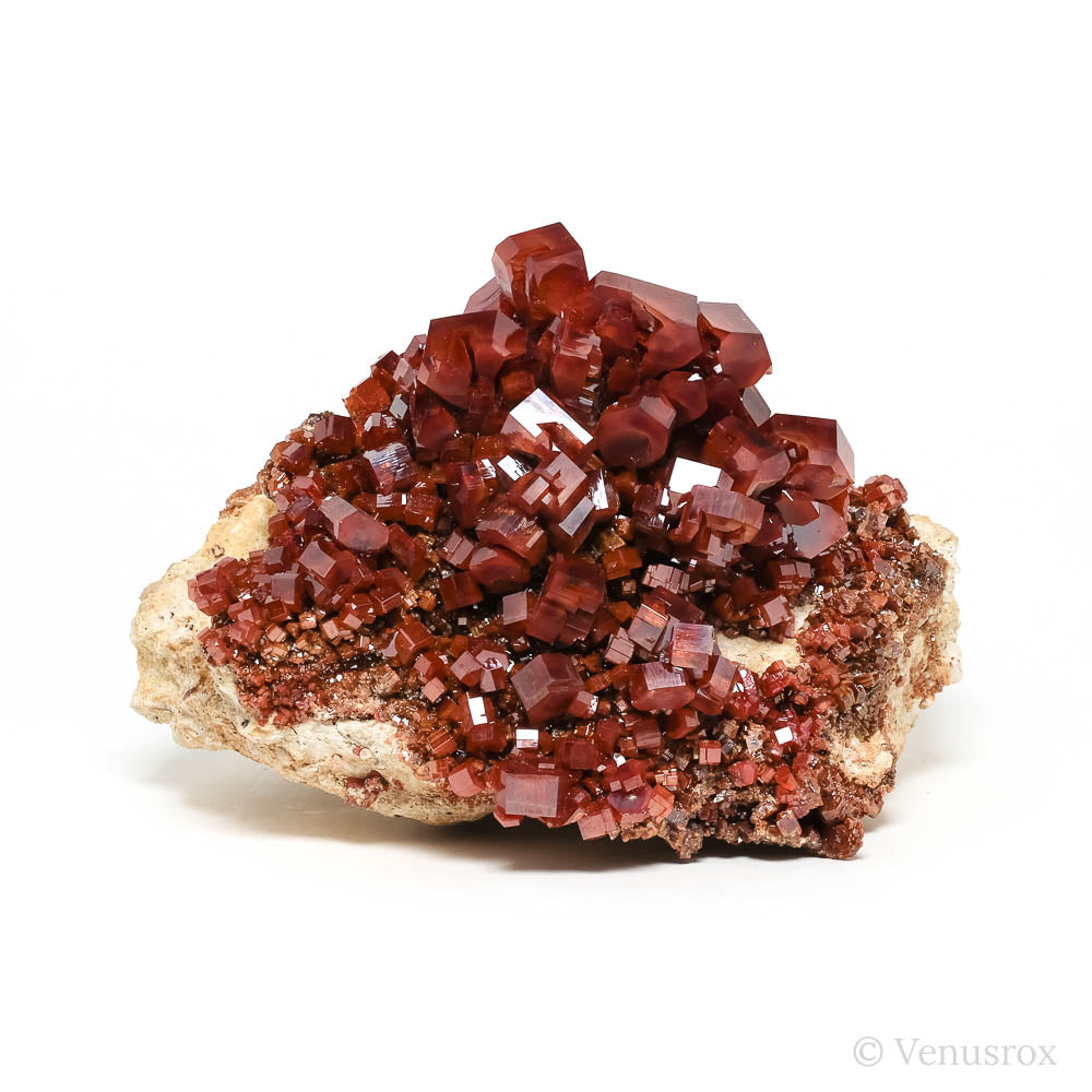 Vanadinite Natural Cluster from Mibladen, Midelt, Meknes-Tafilalet Region, Morocco | Venusrox