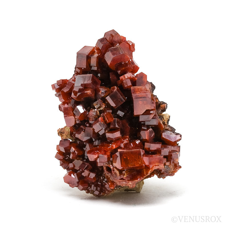 Vanadinite Natural Cluster from Mibladen, Midelt, Meknes-Tafilalet Region, Morocco | Venusrox