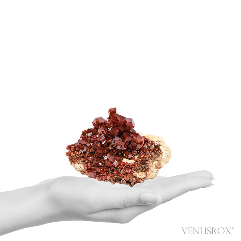 Vanadinite Natural Cluster from Mibladen, Midelt, Meknes-Tafilalet Region, Morocco | Venusrox