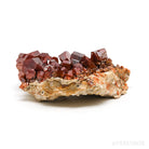 VANADINITE ON MATRIX NATURAL CLUSTER - NATURAL CRYSTALS