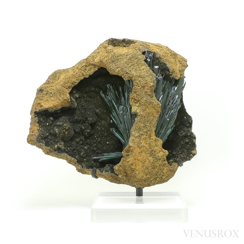 Vivianite with Matrix Natural Crystal from Brazil mounted on a bespoke stand | Venusrox