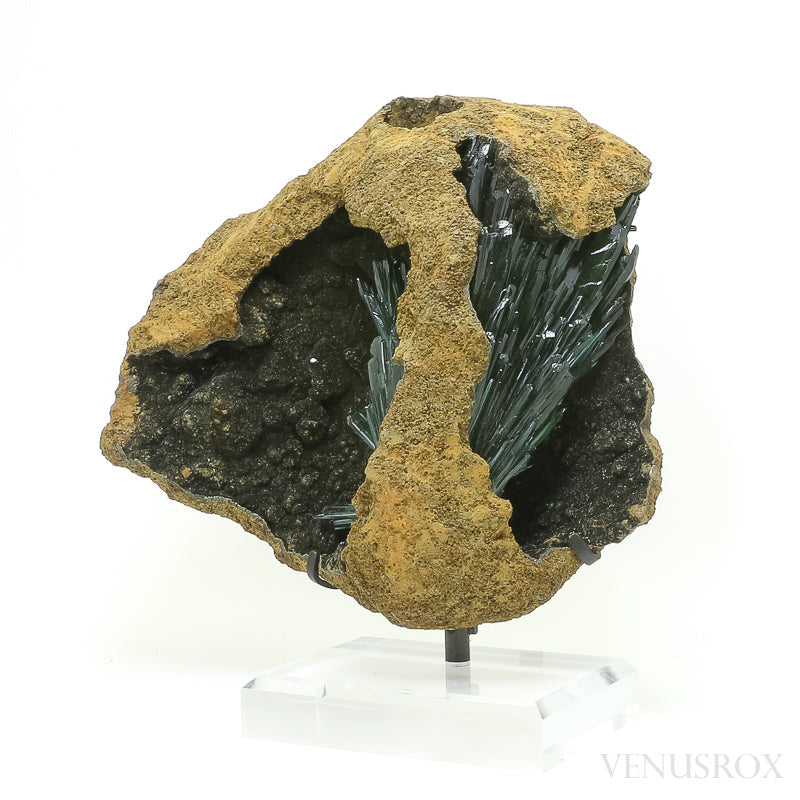 Vivianite with Matrix Natural Crystal from Brazil mounted on a bespoke stand | Venusrox