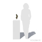 VIVIANITE WITH MATRIX NATURAL CRYSTAL - NATURAL CRYSTALS