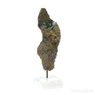 Vivianite with Matrix Natural Crystal from Brazil mounted on a bespoke stand | Venusrox