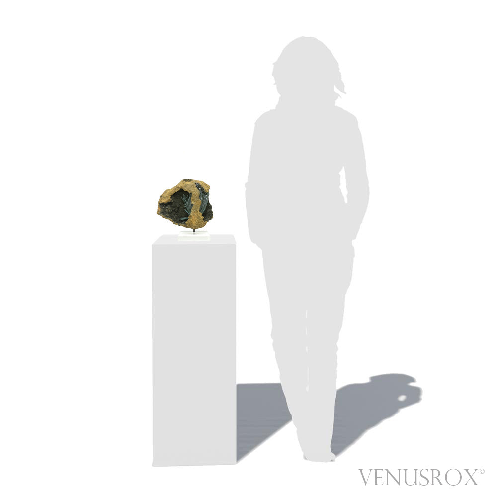 Vivianite with Matrix Natural Crystal from Brazil mounted on a bespoke stand | Venusrox
