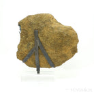 Vivianite with Matrix Natural Crystal from Brazil mounted on a bespoke stand | Venusrox