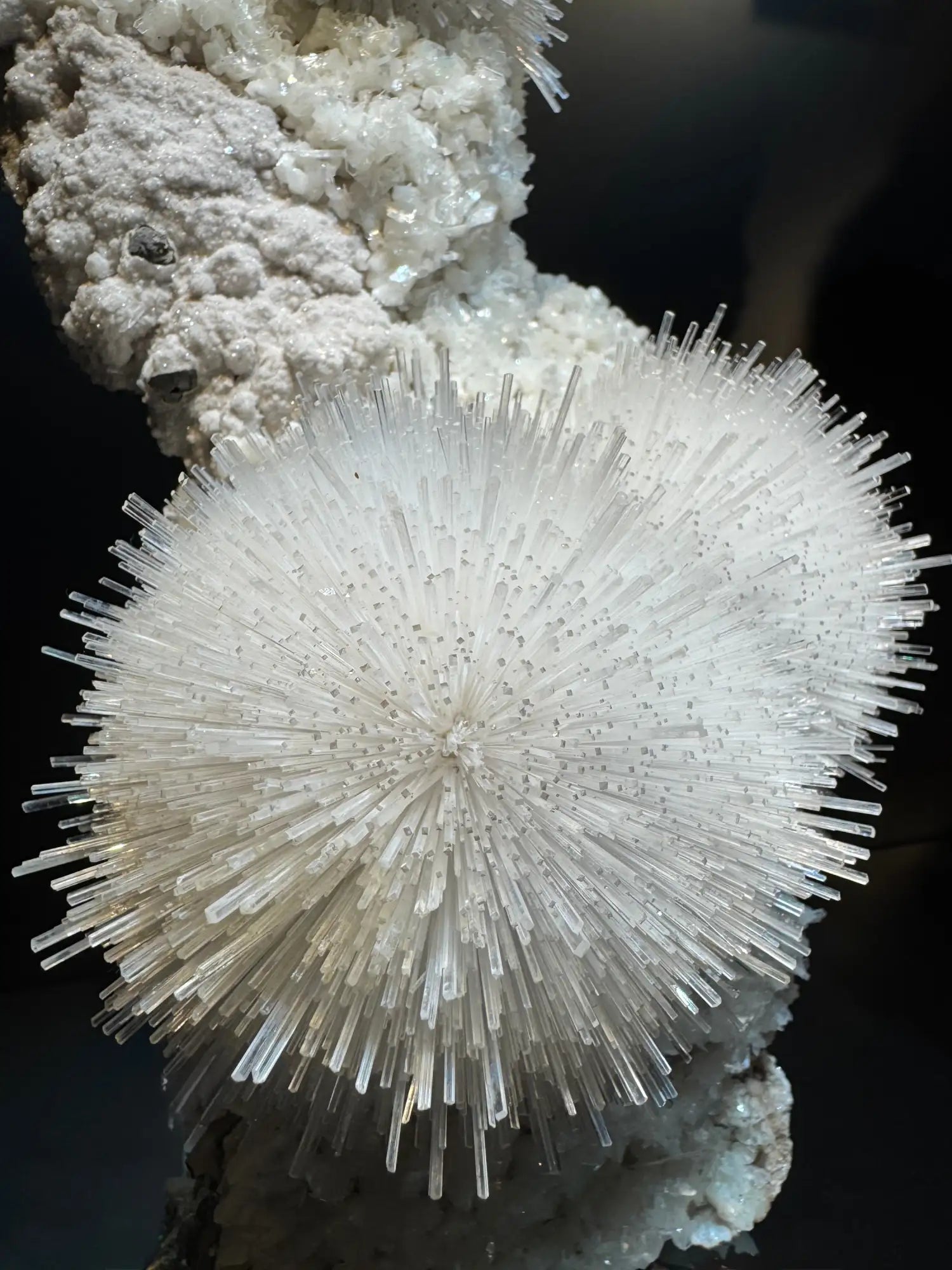 A striking white crystal formation with radiating, translucent spines resembling a starburst.